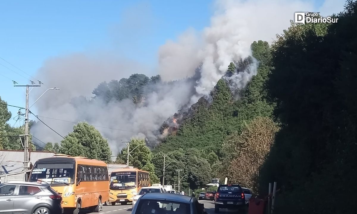 AHORA: confirman detención de dos sujetos por incendio camino a Niebla 