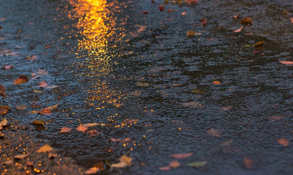 ¿Continuarán las lluvias?: este es el pronóstico del tiempo en Los Ríos 