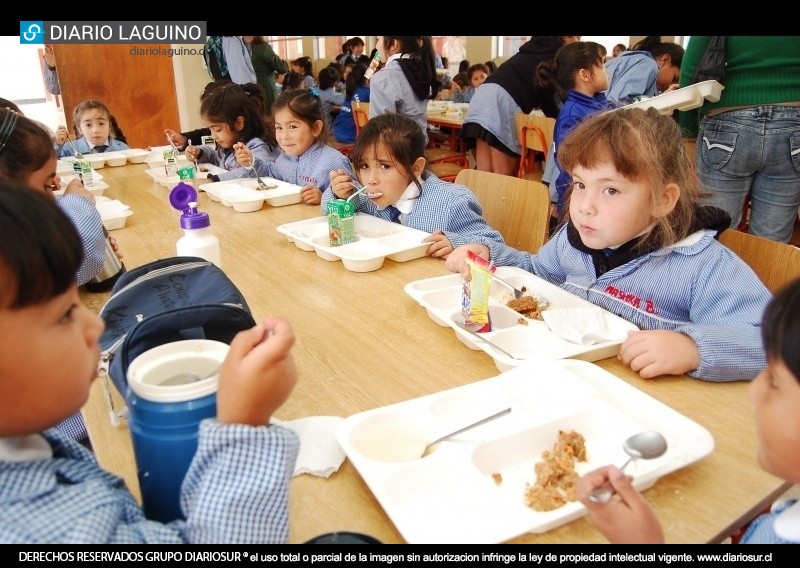 Manipuladoras de alimentos de Los Lagos, Paillaco y Futrono se movilizan este miércoles