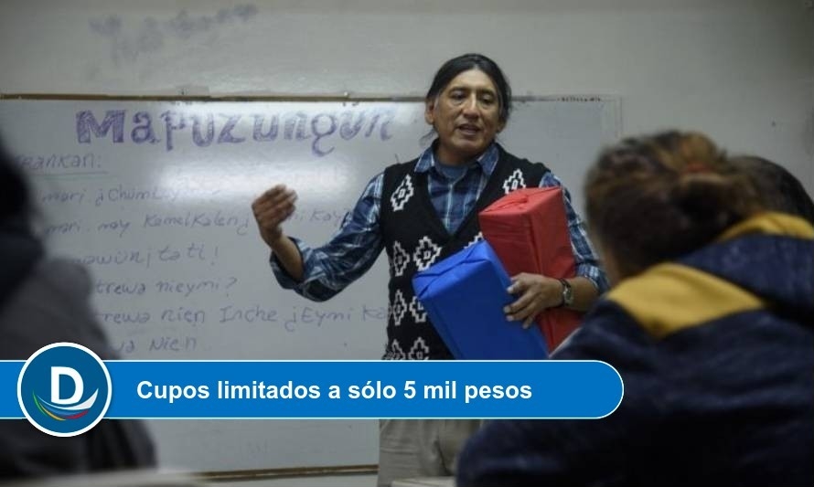 Ofrecen curso online de idioma y cultura Mapuche