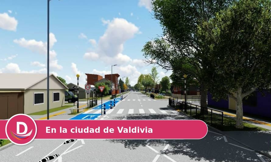 Aprobadas nuevas ciclovías en los ejes O´Higgins-Avenida Alemania y Bueras-Haverbeck