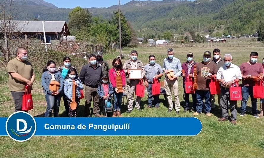 Los Ríos: Artesanos de Liquiñe recibieron recursos del FOSIS