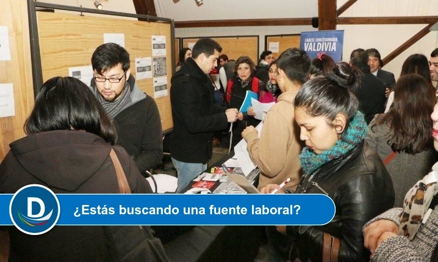 Feria laboral de OMIL Valdivia ofrecerá más de 2000 puestos de trabajo