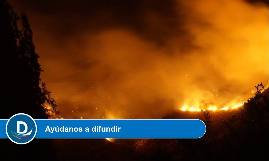 Todo lo que necesitas saber para evitar incendios forestales