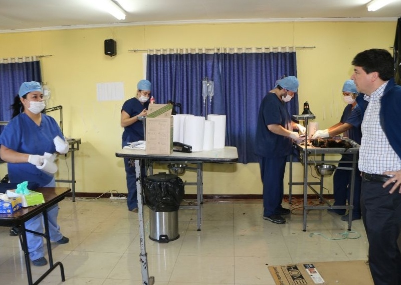 Atención vecinos de Barrios Bajos: Este viernes comienza operativo de esterilización de mascotas en el sector