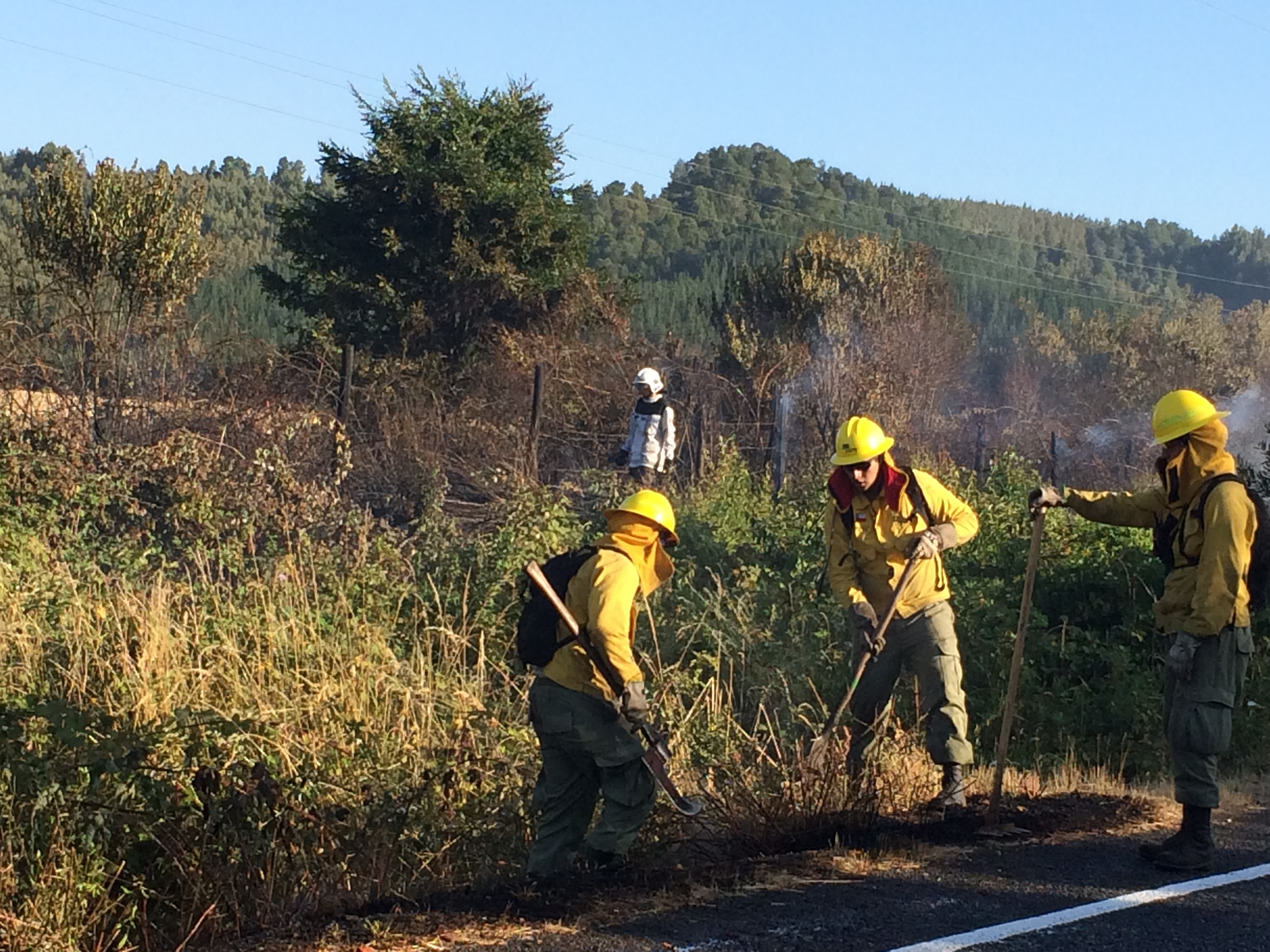 Quema de cables provocó fuego en pastizales del sector Las Ánimas