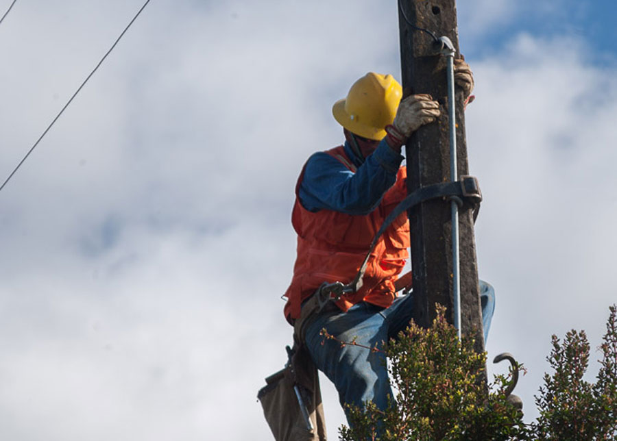 Saesa informa diversos cortes de suministro eléctrico en Valdivia