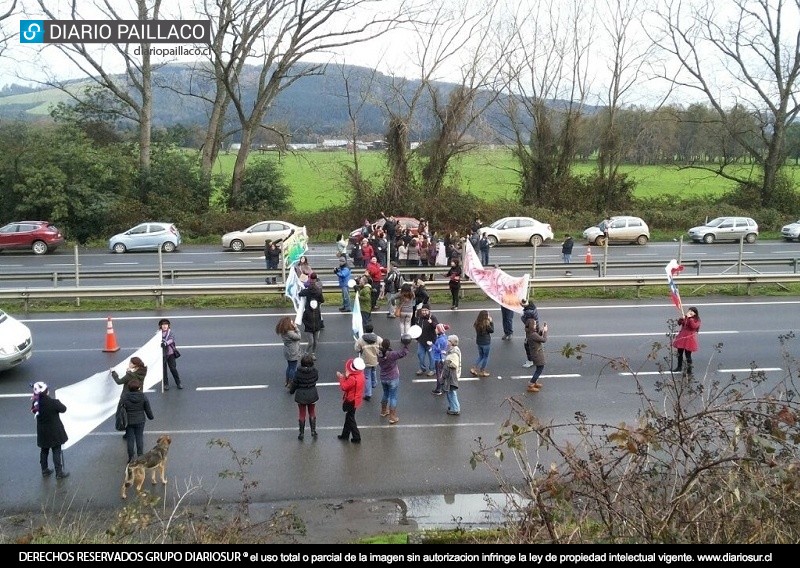 Profesores en paro de Paillaco interrumpieron el tránsito de la Ruta 5 Sur por cerca de media hora