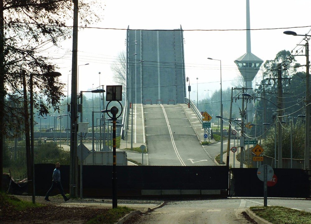 Tildan de “Insólita” reacción de Bitrán al guardar silencio por fallido diseño del puente Cau-Cau