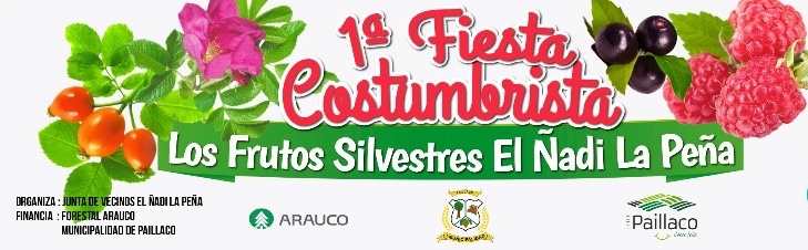 Fiesta Los Frutos Silvestres de El Ñadi – La Peña despide circuito de actividades costumbristas en Paillaco
