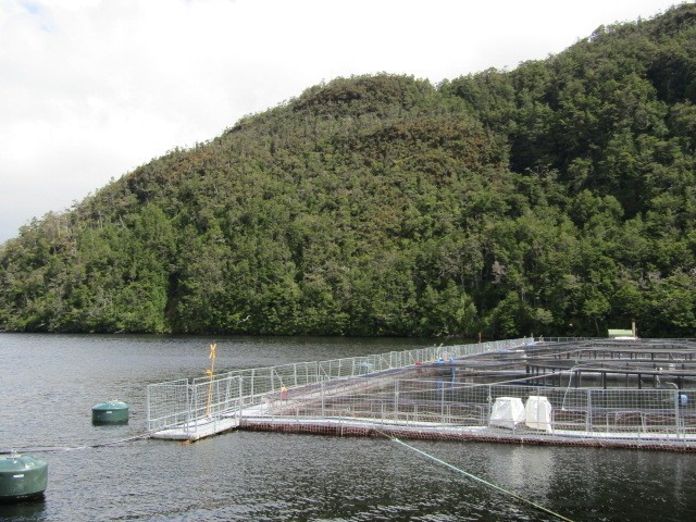 Estudio construye el relato histórico de la expansión salmonera en Magallanes