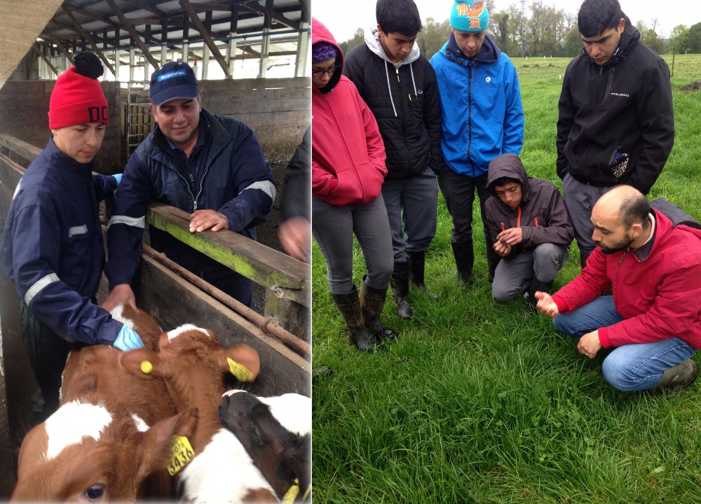 Colegio San Antonio inició proceso de matrícula 2016 para su exitosa especialidad agrícola