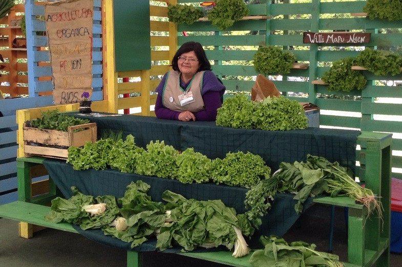 Hoy viernes en Futrono la feria “Sabores y Sensaciones del Ranco” abre sus puertas